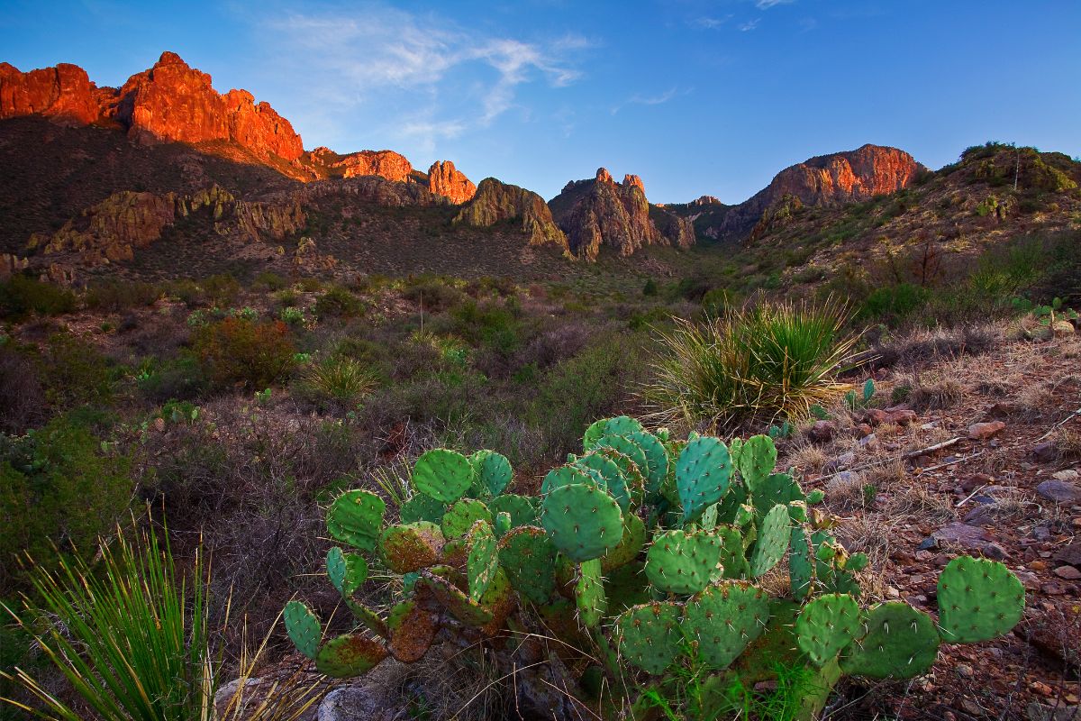 Best Places To Visit In Texas - Big Bend National Park