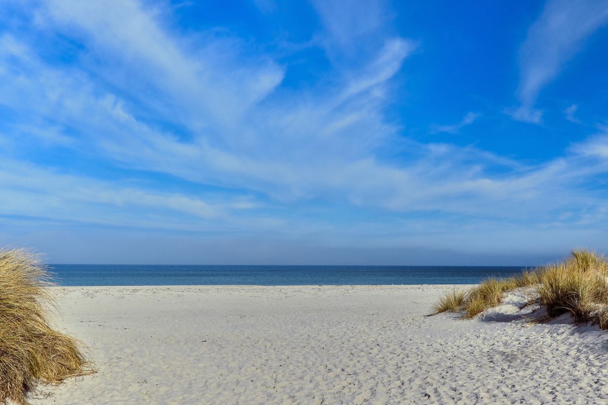 Dune Allen Beach