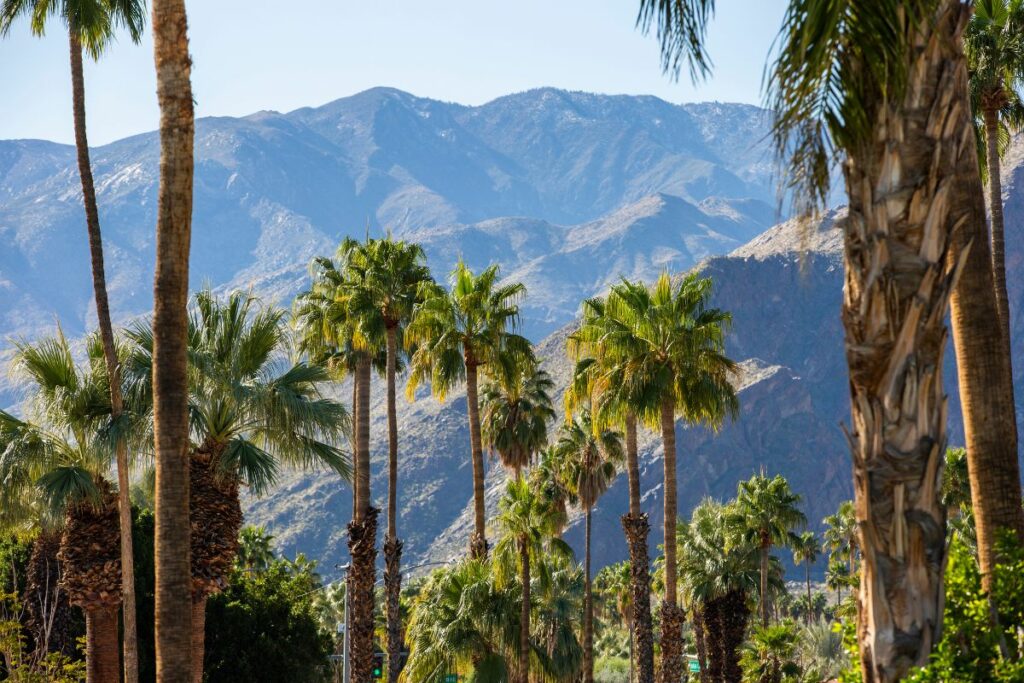 Warm Winter Getaways In The U.S - Palm Springs